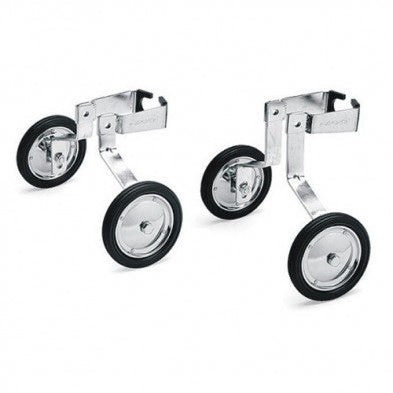 Giant Wheels Training WH-03-H