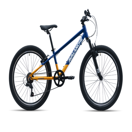 Avalanche Cosmic Bike