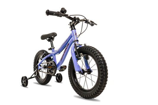 Avalanche Shine Bike 14
