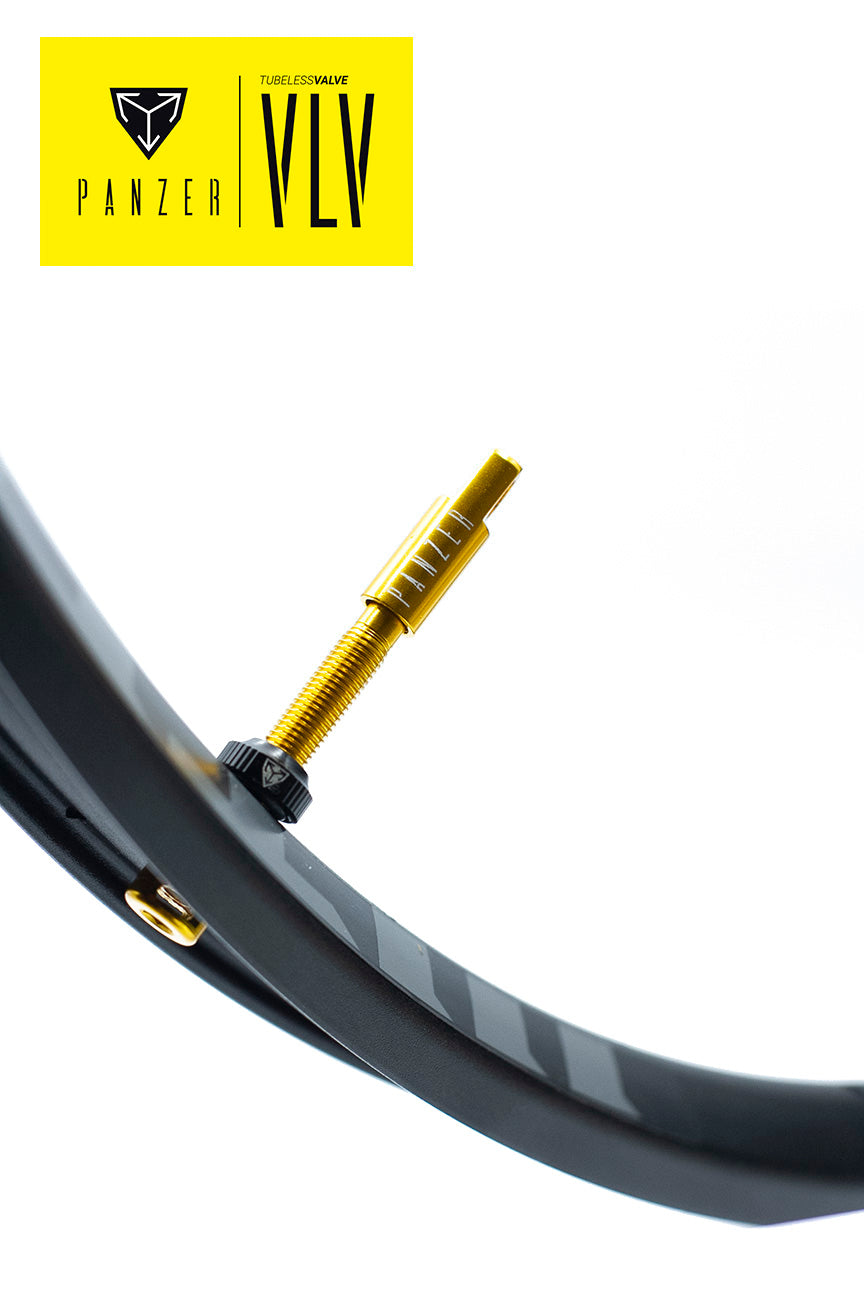 Panzer Tubeless Valve 48mm Gold