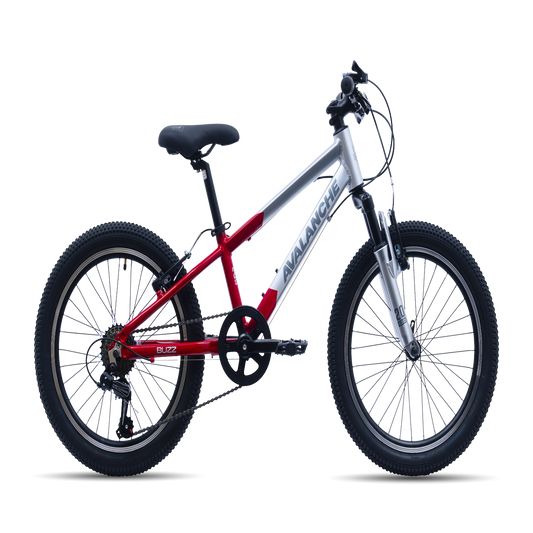 Avalanche Buzz Bike