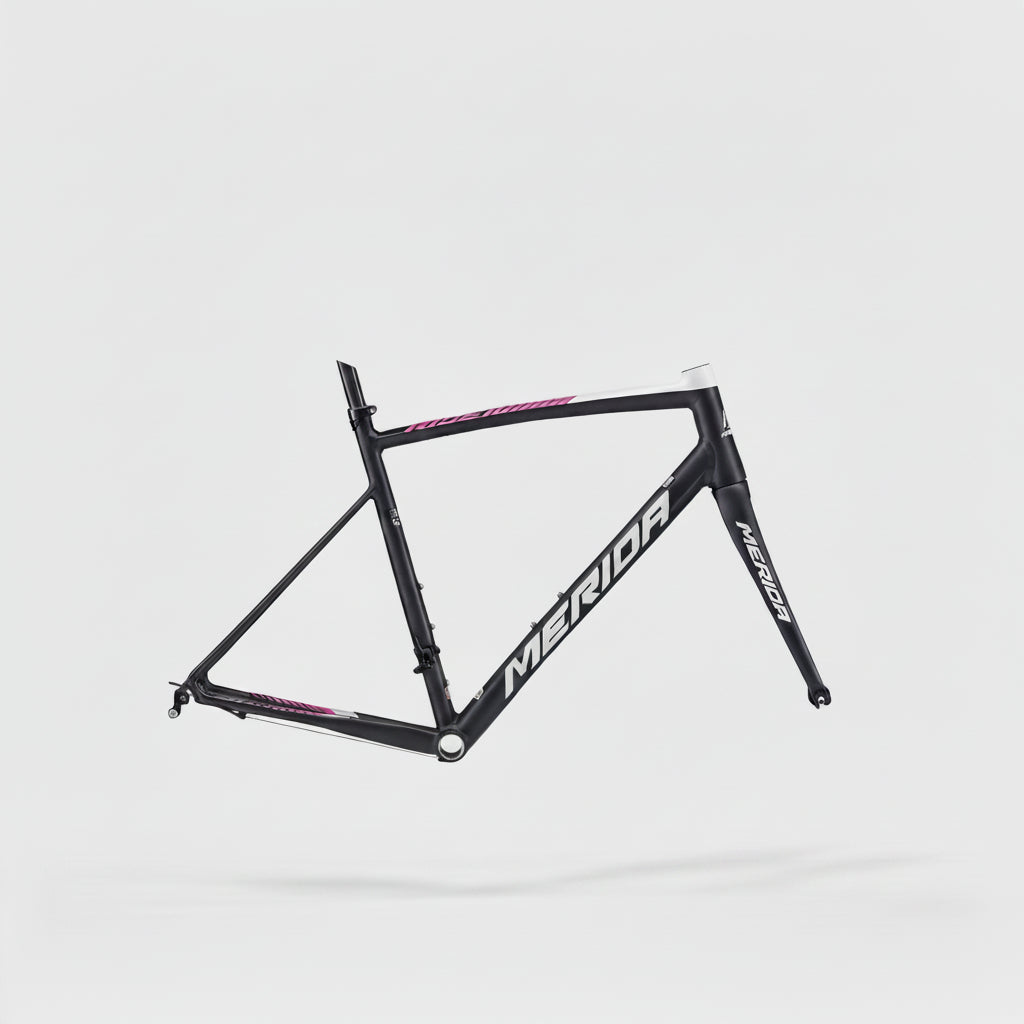 Merida Scultura 300 Lampre Frame M – Finish Line Cycles