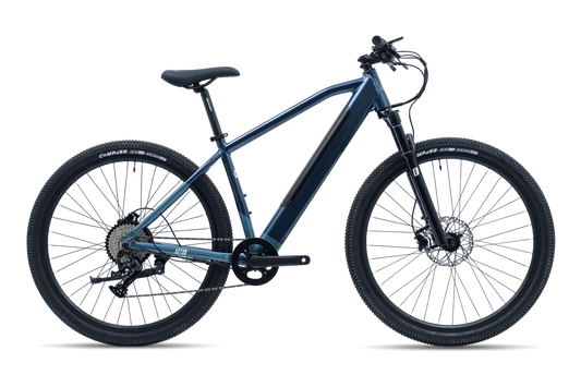 Avalanche MTE Electric Bike