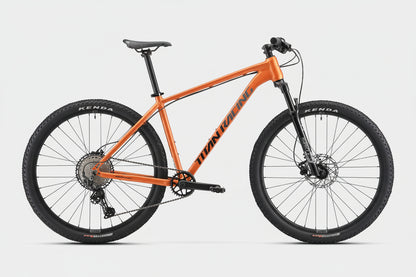 Titan Rogue Cruz Bike