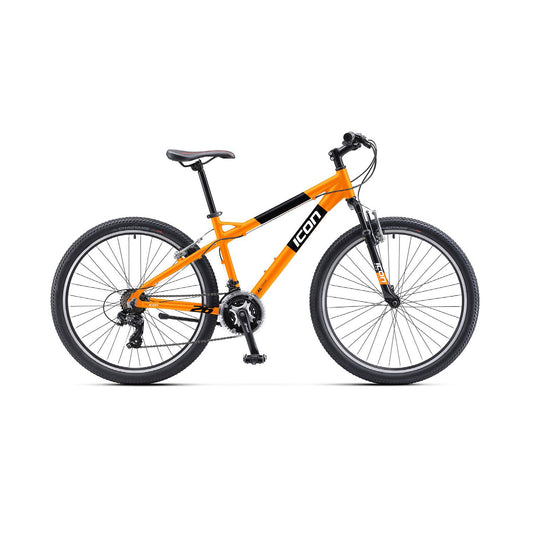 Icon Boys Bike 2021
